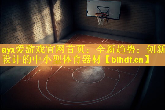 全新趋势：创新设计的中小型体育器材